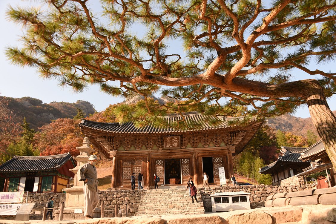 DSC_7605.jpg : 내소사 가을풍경.