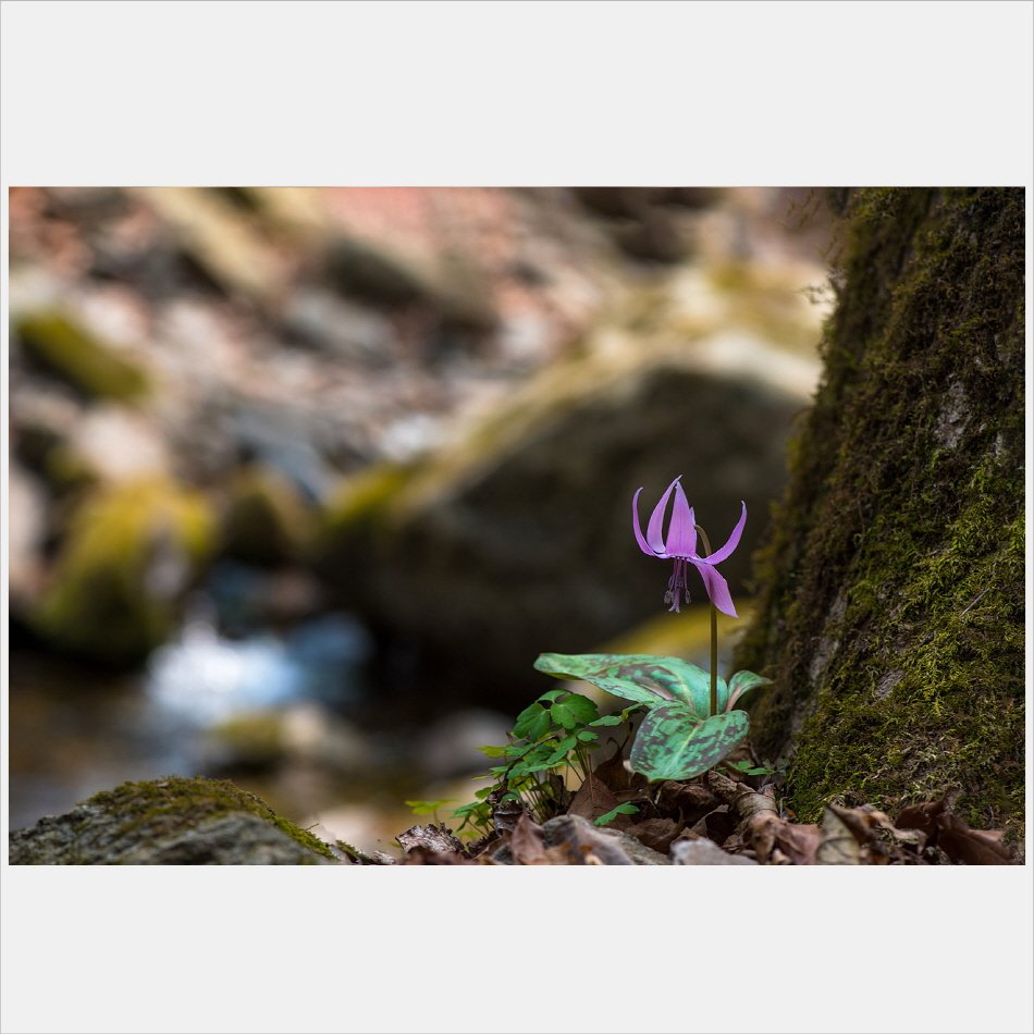 [R]DSC_8738.jpg : 정모에서