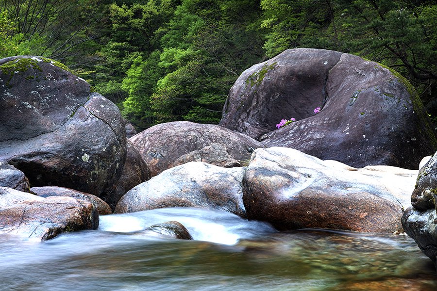 의신계곡1.jpg : 의신계곡을 찾아서...