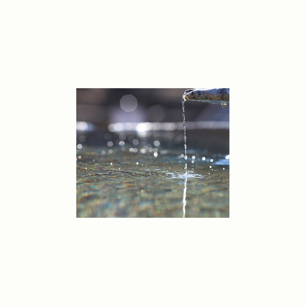 IMG_6041-1.jpg : 봄이 오는 소리..