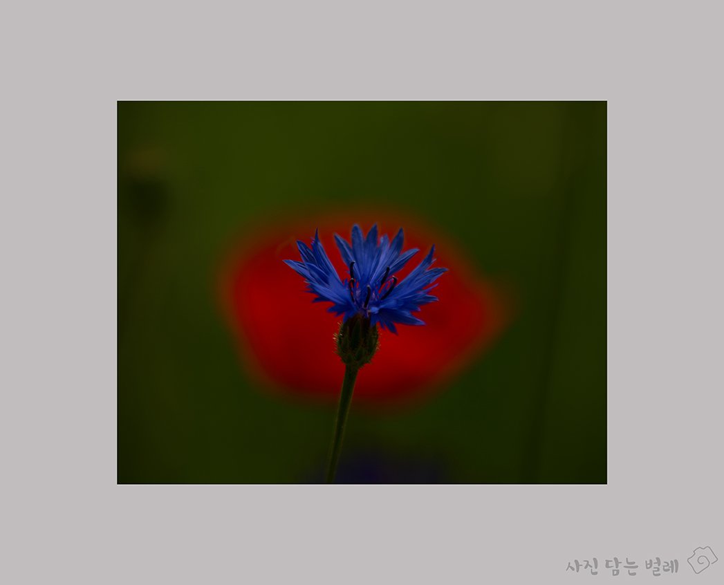 CE3A2193-3 resize.jpg : 정모2