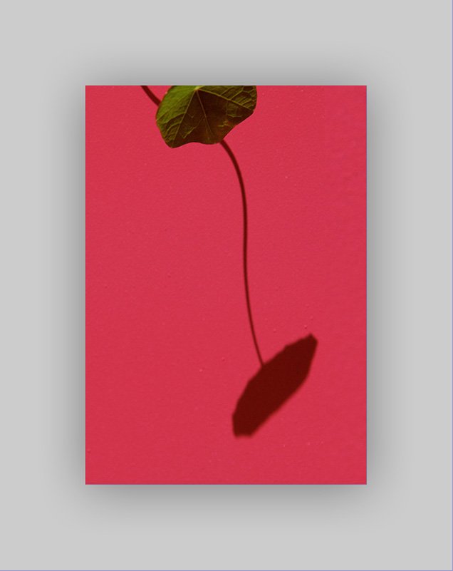 _GS_1289.jpg : 햇살 좋은 날에..