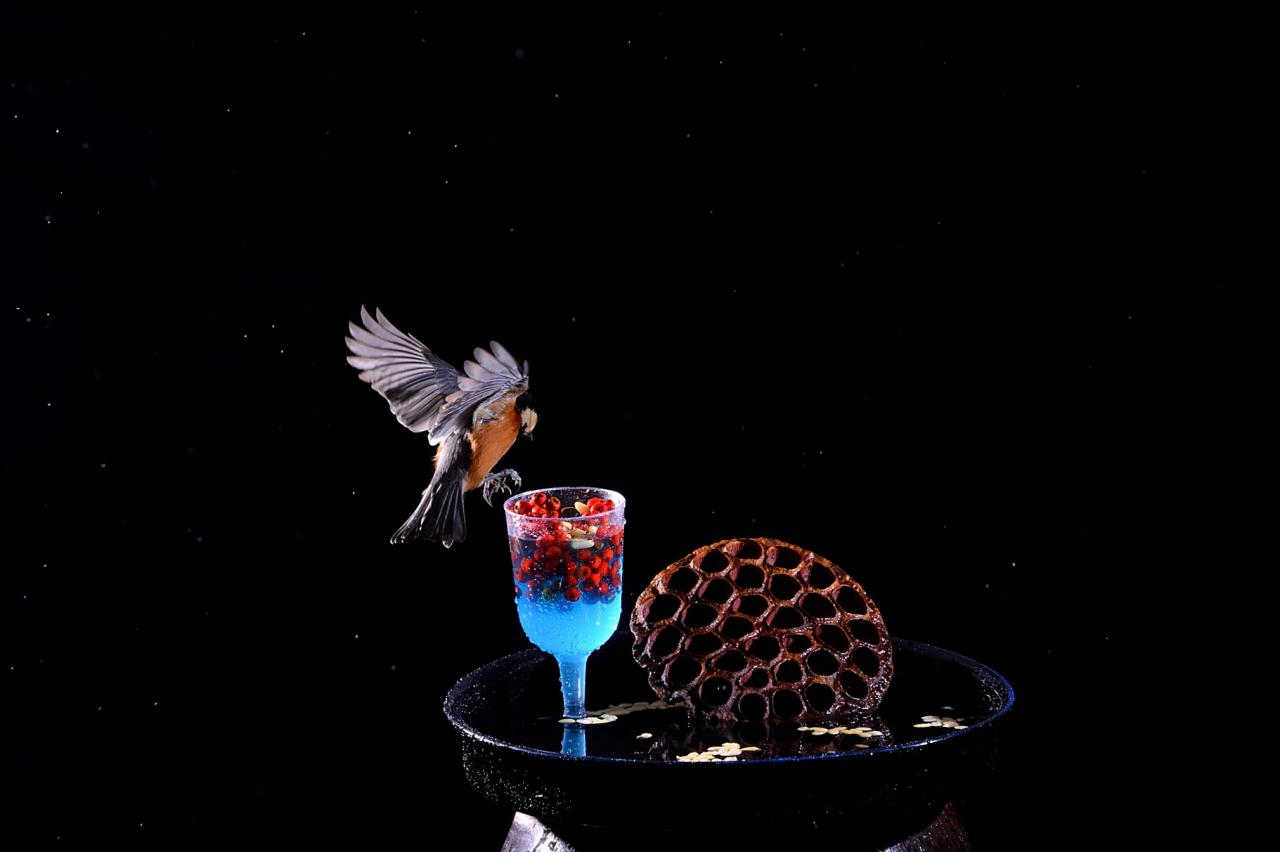 BandPhoto_5252933007.jpg : 인천대공원에서 새와함께 BandPhoto_5252933007.jpg : 인천대공원에서 새와함께