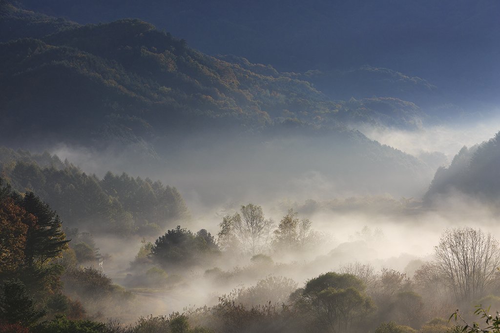 _32A3129.jpg : 비밀정원