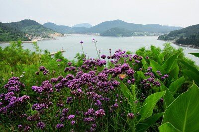 카카오스토리_2023_06_08 09_38_10.jpg