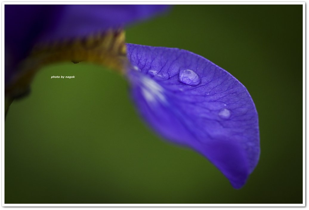 비온뒤 117.jpg : 컬러레인