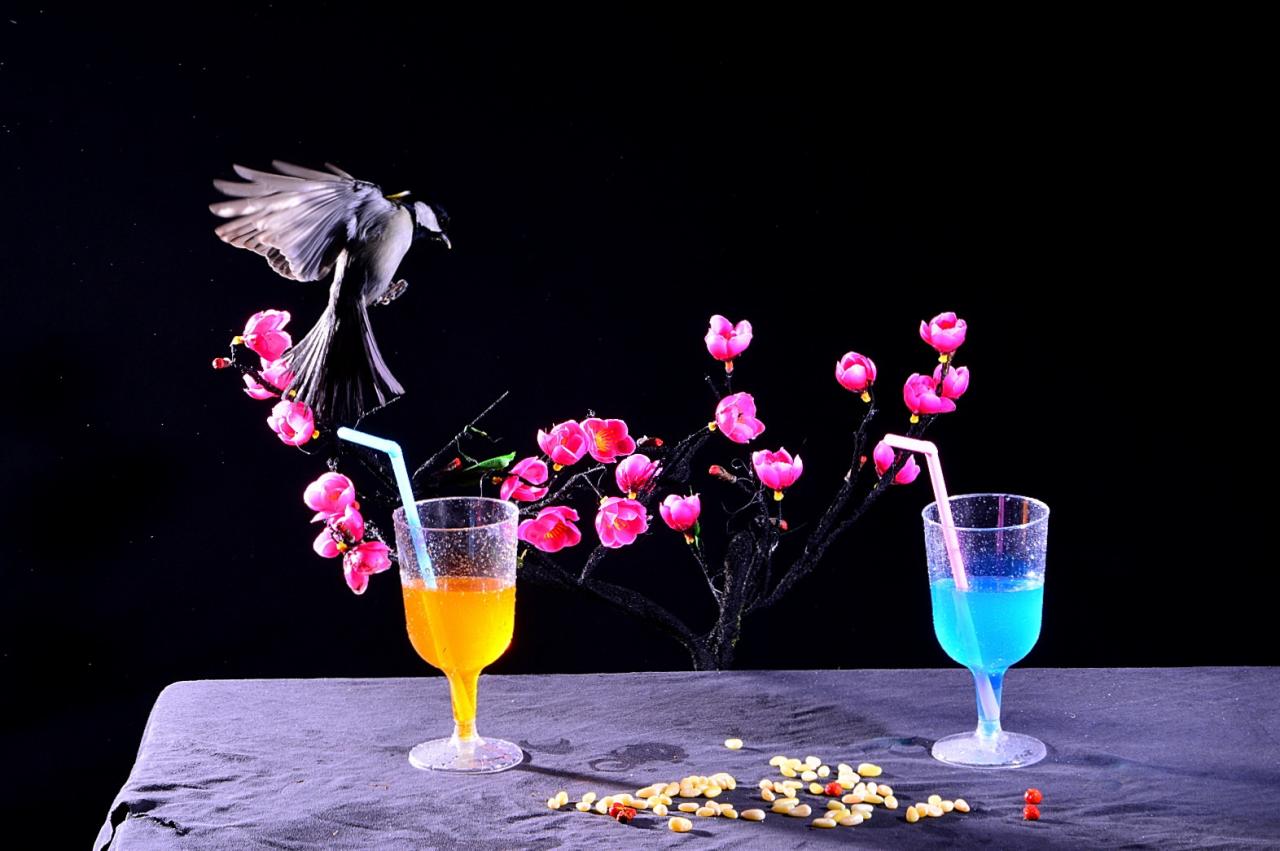 BandPhoto_5252933119.jpg : 인천대공원 새와 함께 ㅡ2