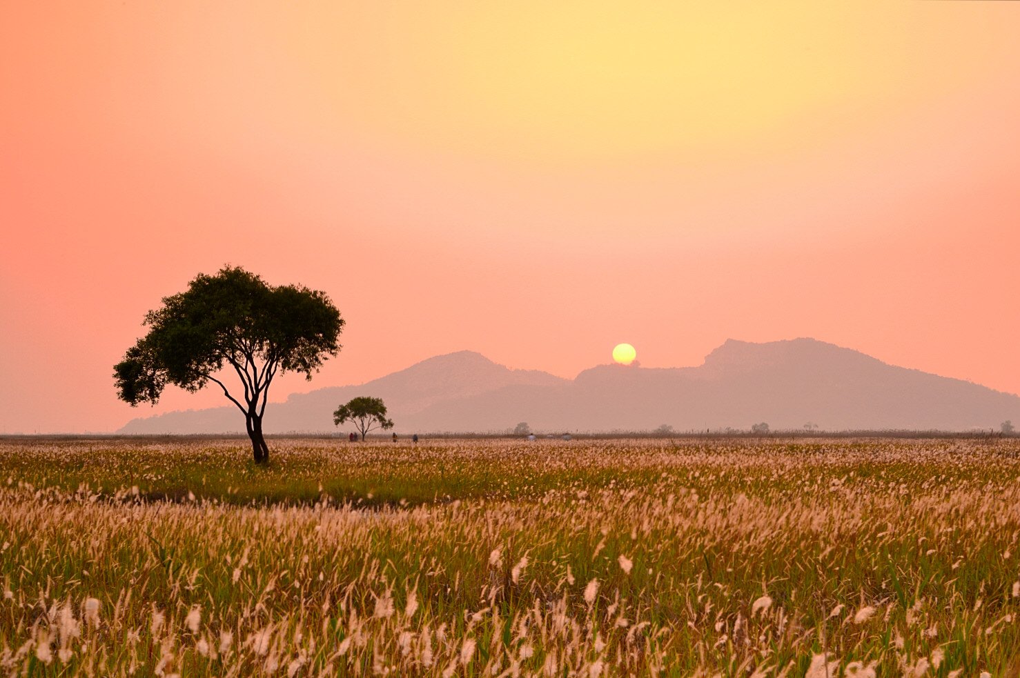 DSC_1739.JPG : 수섬에서 어섬 일몰녁