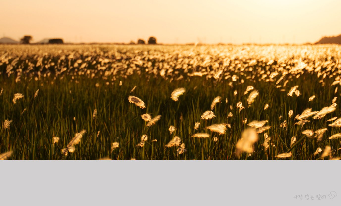 CE3A4257 jpg frame resize.jpg : 벙개2