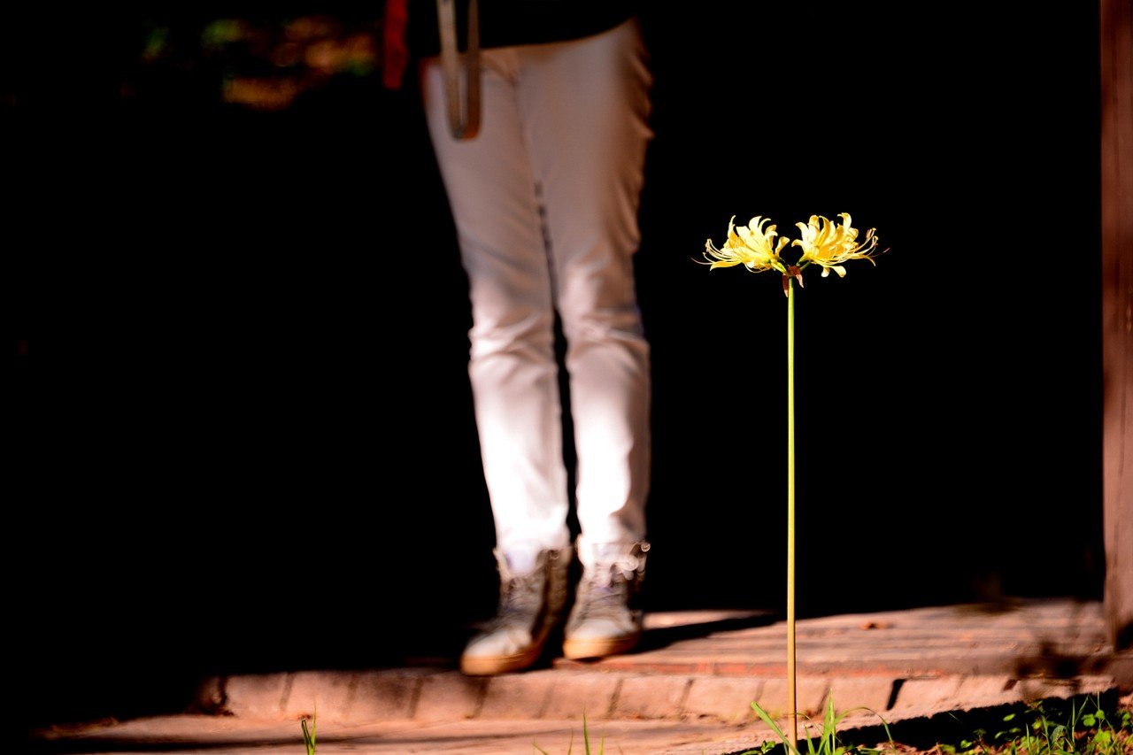 BandPhoto_10125860357.jpg : 불갑사ㅡ답사