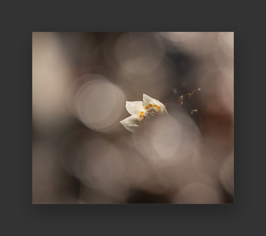 GGS_4872.jpg : 늦잠꾸러기