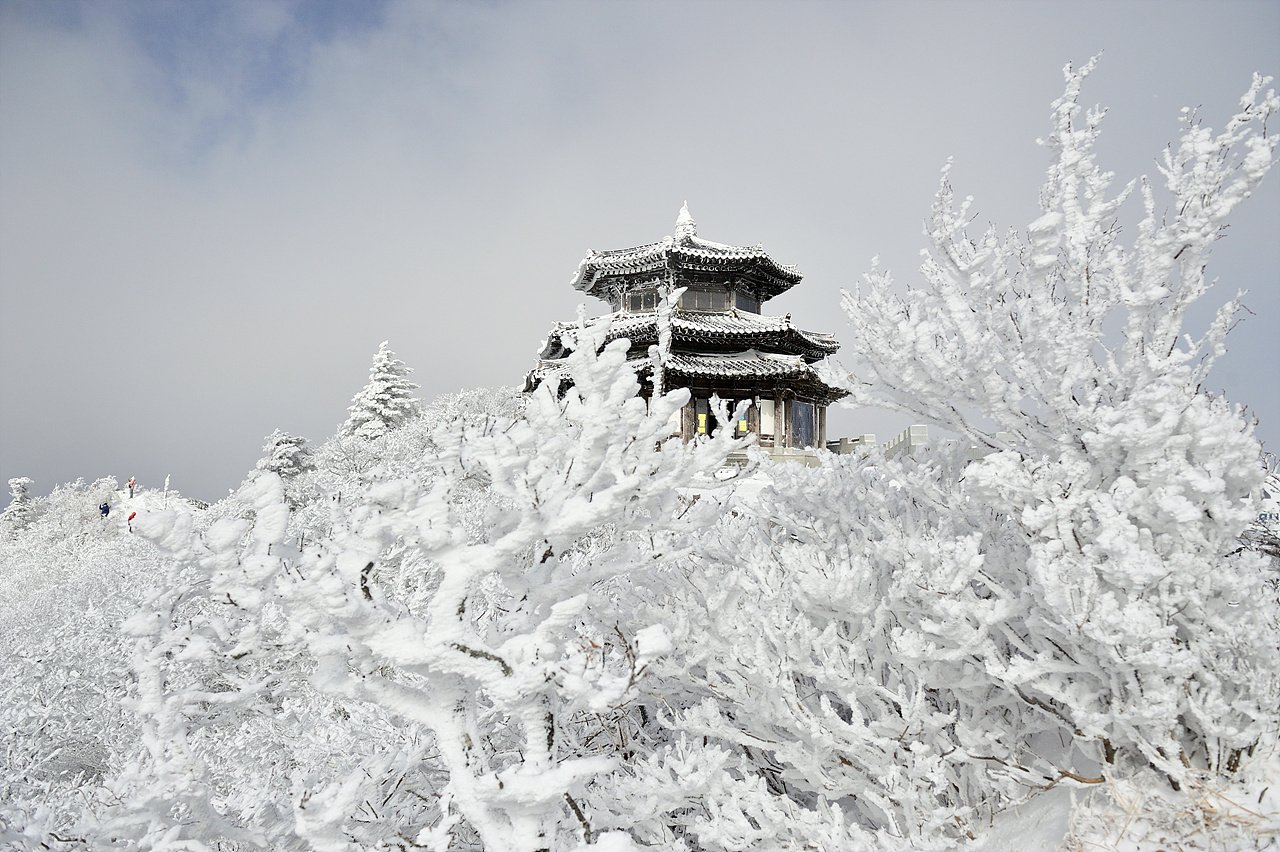 _DSC3886.jpg : 덕유산 상고대