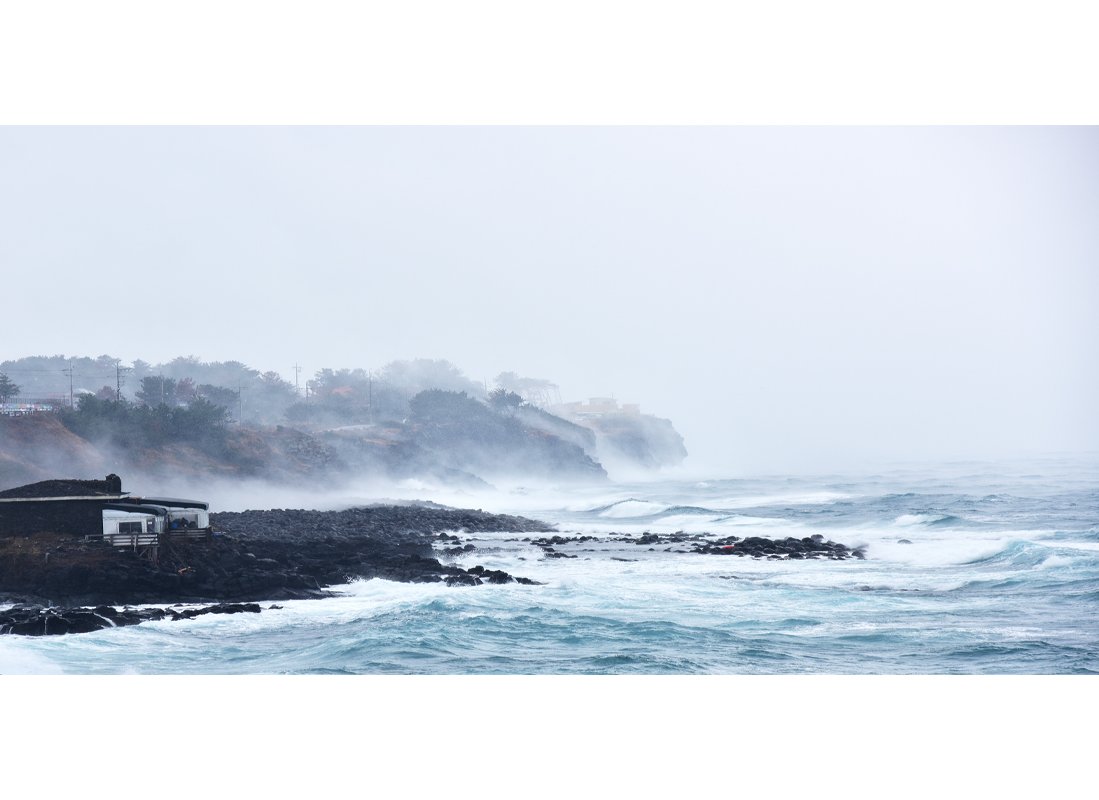 1226-2.jpg : 바람..