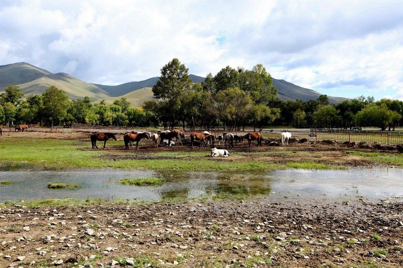 IMG_7930.jpg : 몽골