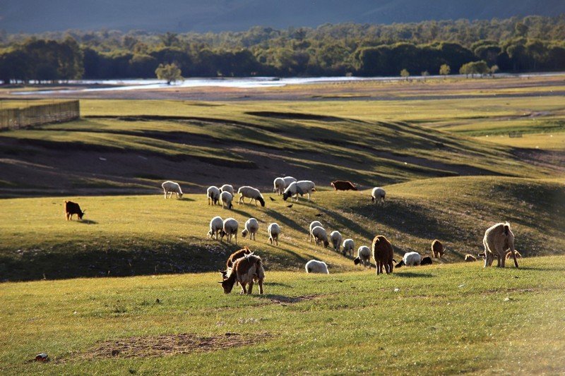 IMG_7749.jpg : 몽골