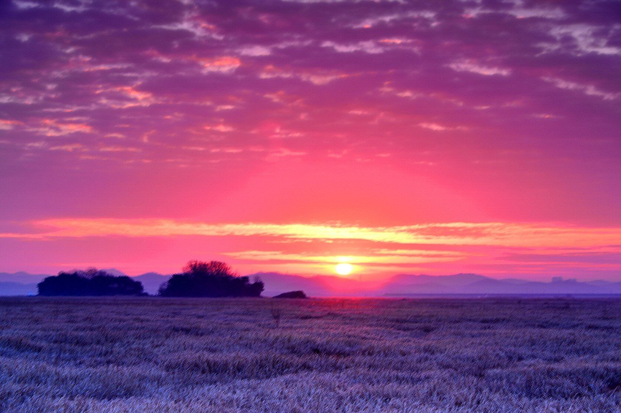 BandPhoto_11457154666.jpg : 새해 공룡알화석 일출