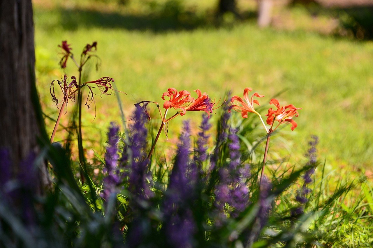 BandPhoto_10125819944.jpg : 나주농업연구소 BandPhoto_10125819944.jpg : 나주농업연구소