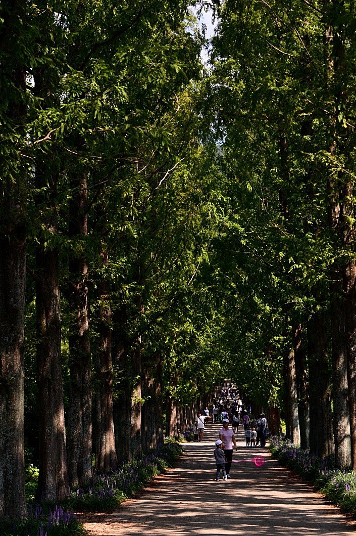 BandPhoto_10125819940.jpg : 나주농업연구소 BandPhoto_10125819940.jpg : 나주농업연구소