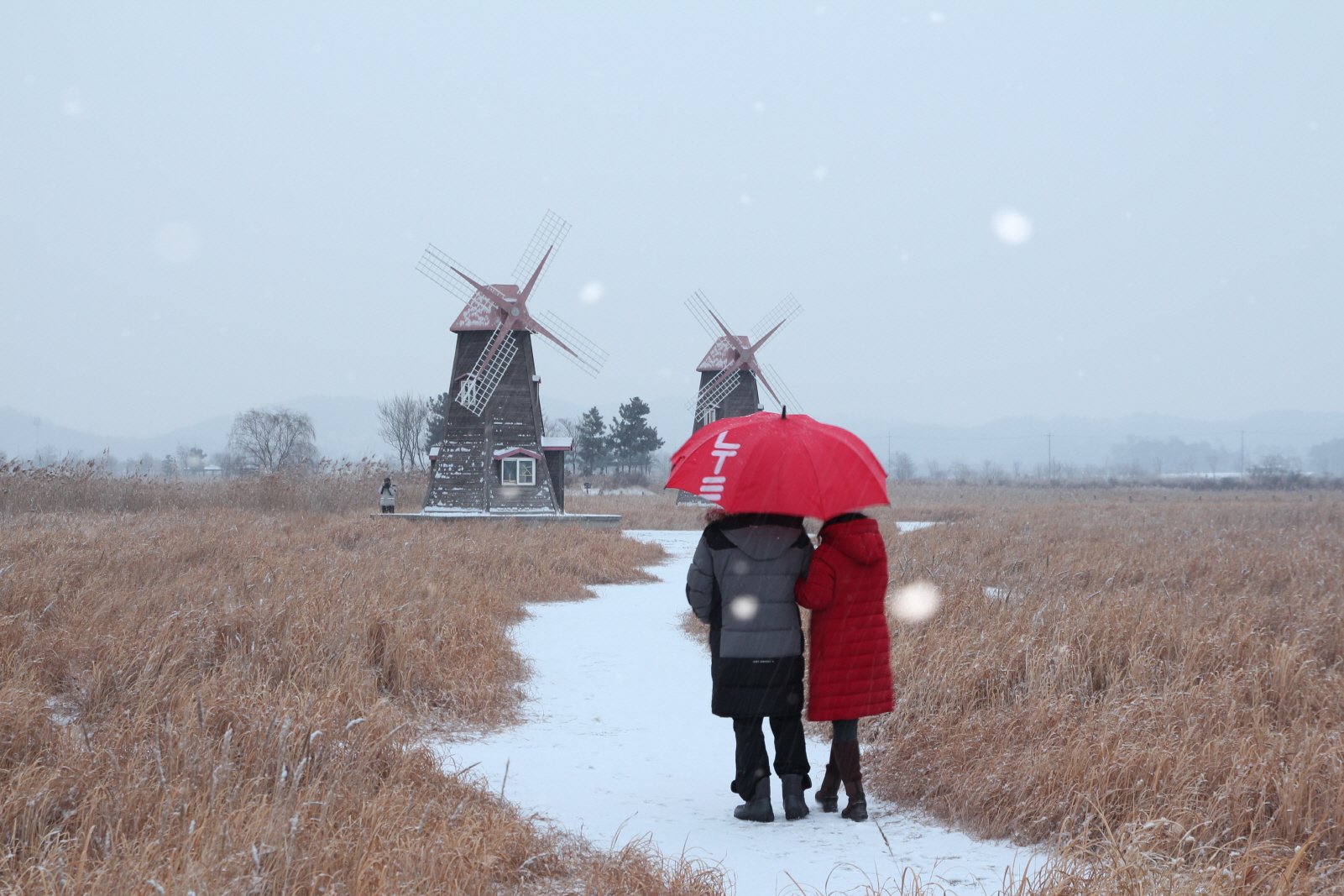 눈 길을 걸으며.JPG : 정모숙제