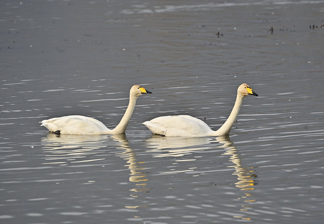 _DSC8854_1.jpg : 25년 2월 정모 숙제