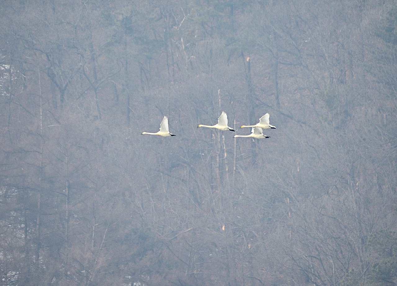 _DSC8879_1.jpg : 25년 2월 정모 숙제