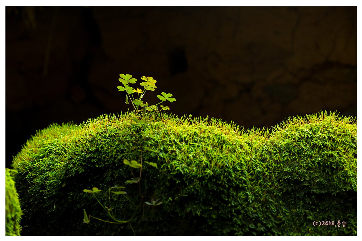 4236.jpg : 정모 숙제 이제야 합니다^^