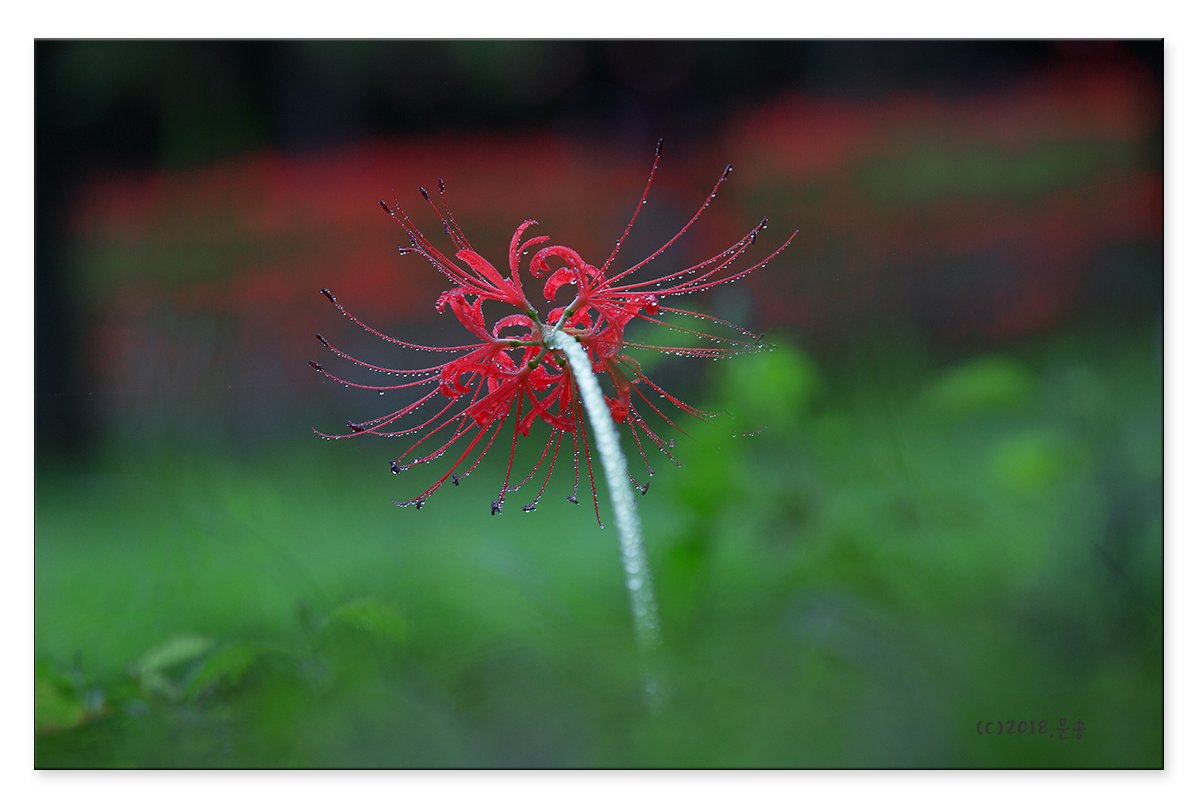 4037.jpg : 정모 숙제 이제야 합니다^^