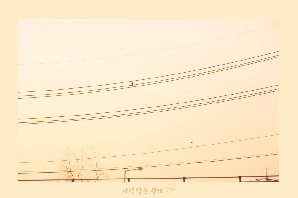 CE3A4595-1 resize.jpg : 동네풍경